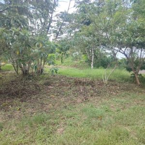 terrenos en venta ruta a frontera con méxico 1