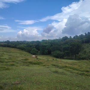 parcela aldea las ilusiones 1